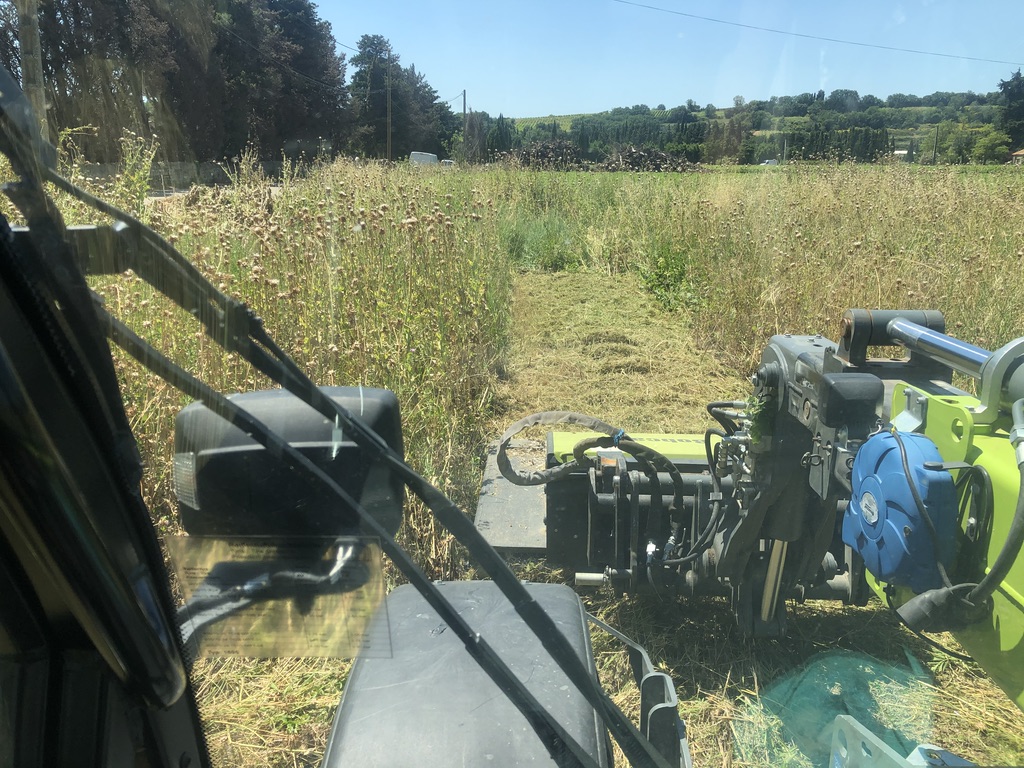 Débroussaillage Montfrin