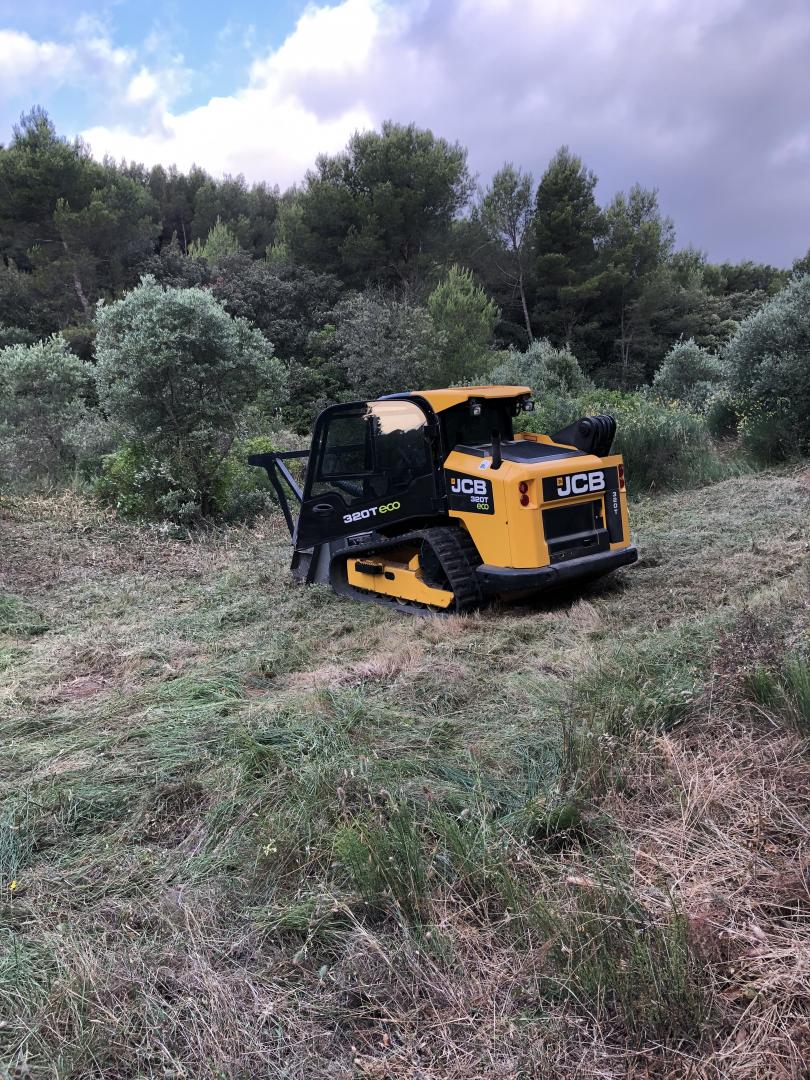 Débroussaillage Montfrin
