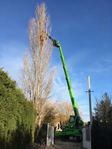 Abattage arbre Montfrin